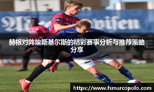 赫根对阵埃斯基尔斯的精彩赛事分析与推荐策略分享